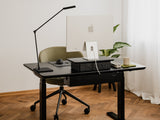 Oakywood Standing Desk Pro Battery enabling uninterrupted lifting of Oakywood electric desk | ,