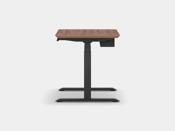 Oakywood Standing Desk Touch Bundle in oak Standing Desk with cable management | walnut veneer, , black