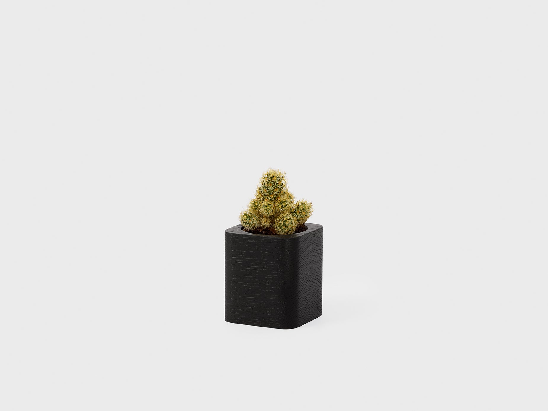 oakywood black wooden cubic pot with plant | black